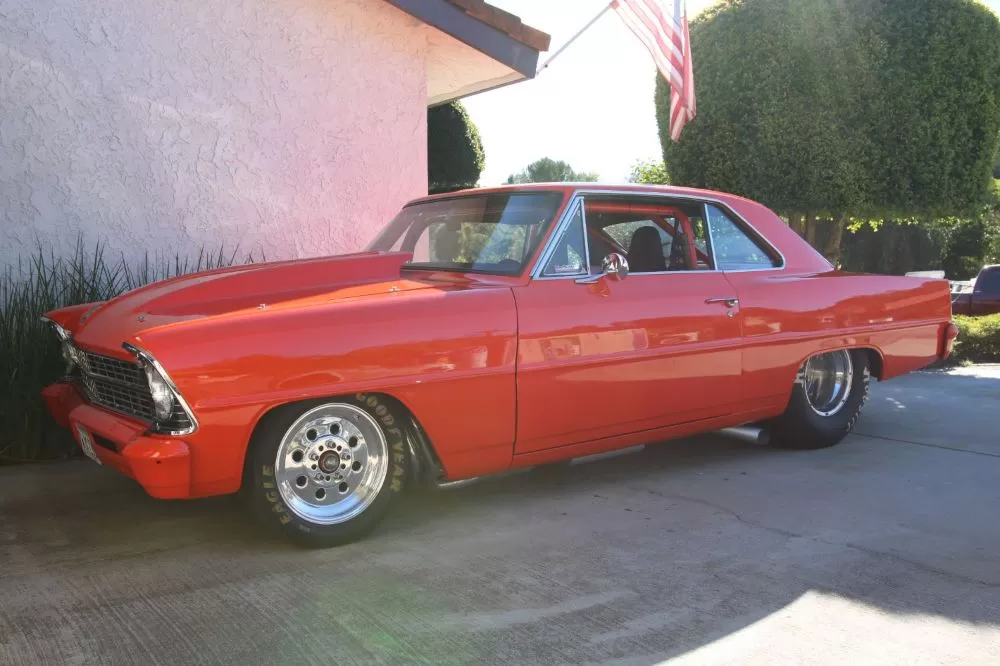 Exotics &amp; Classics